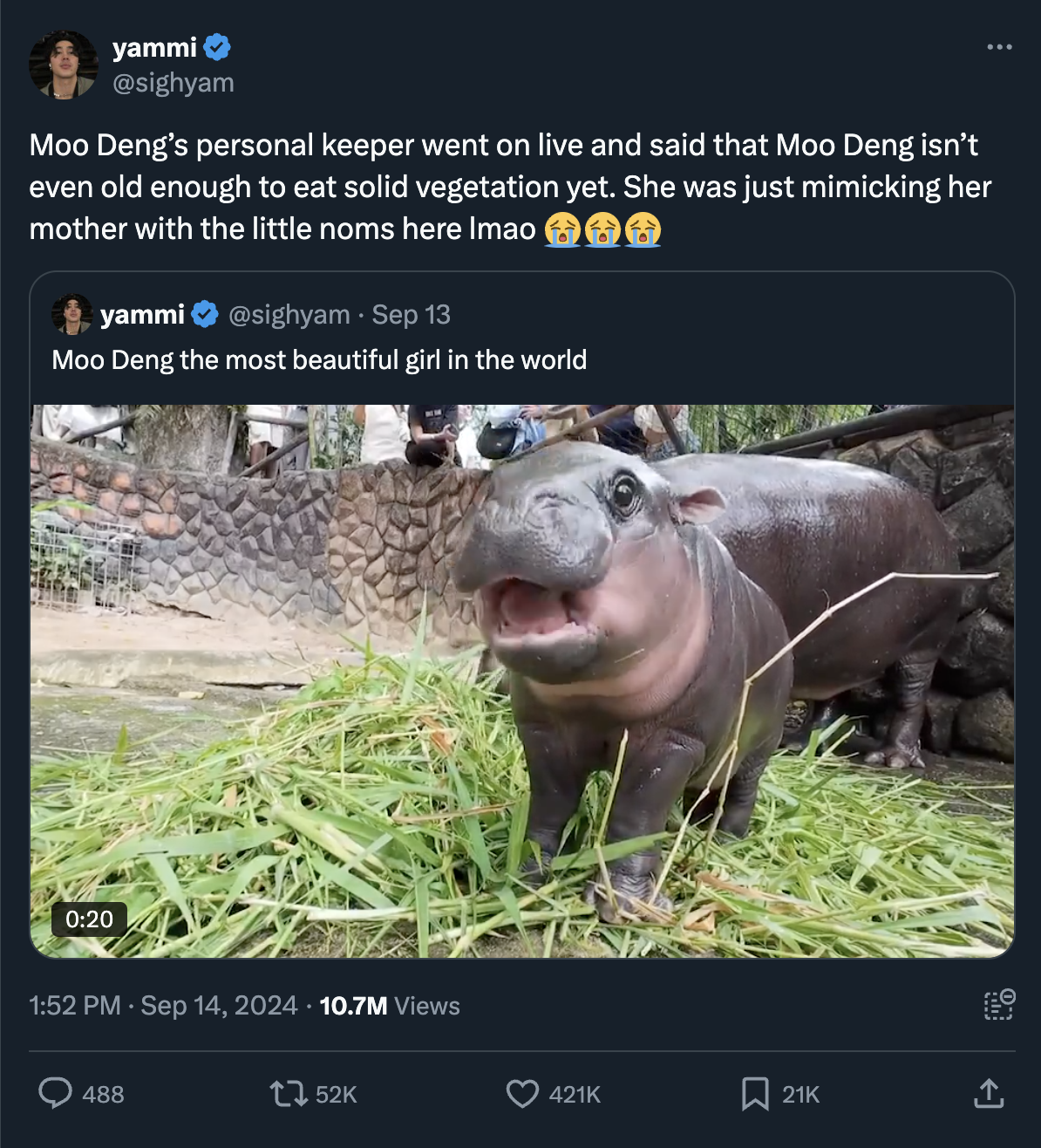 moo deng memes - hippopotamus - yammi Moo Deng's personal keeper went on live and said that Moo Deng isn't even old enough to eat solid vegetation yet. She was just mimicking her mother with the little noms here Imao yammi Sep 13 Moo Deng the most beautif